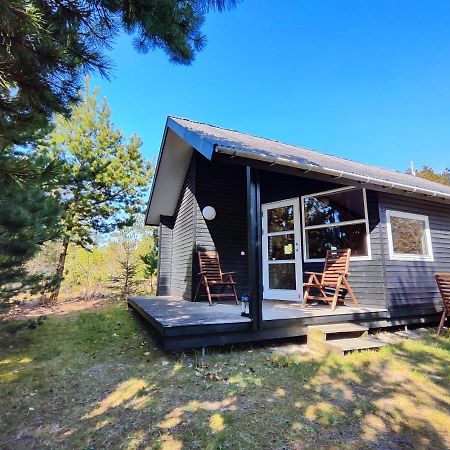 Tranum Klit Camping Og Hytteudlejning 브로우스트 외부 사진