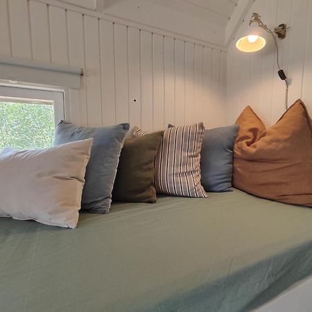 Tranum Klit Camping Og Hytteudlejning 브로우스트 외부 사진