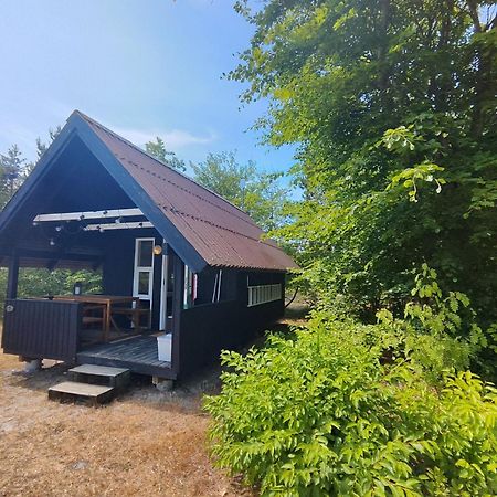 Tranum Klit Camping Og Hytteudlejning 브로우스트 외부 사진